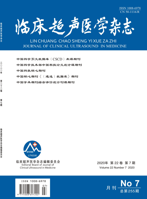 《临床超声医学杂志》征订启事