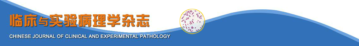 《临床与实验病理学杂志》投稿须知