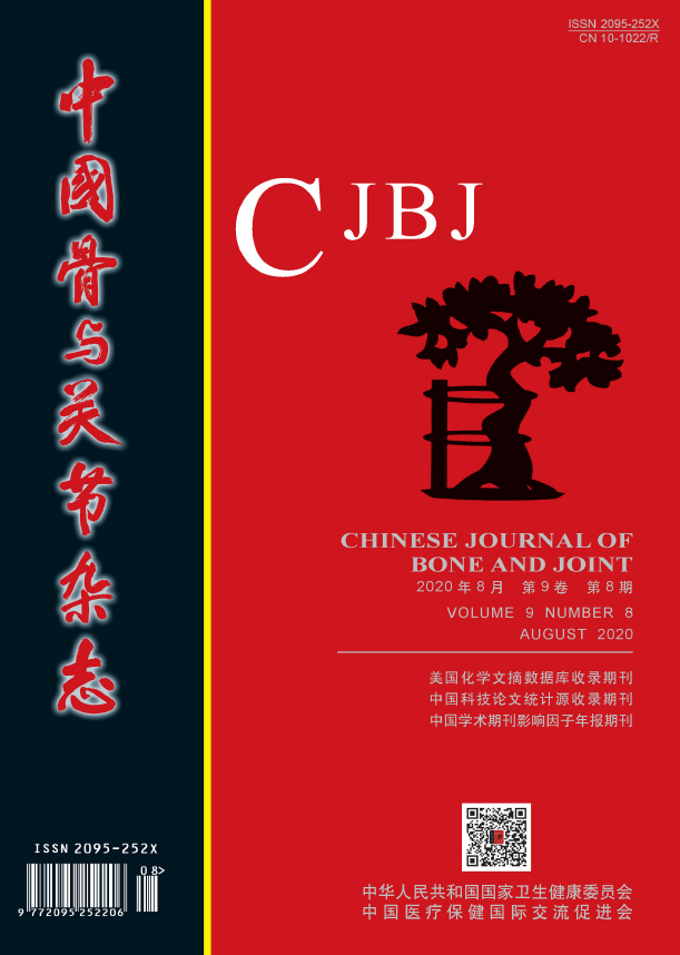 《中国骨与关节杂志》简介