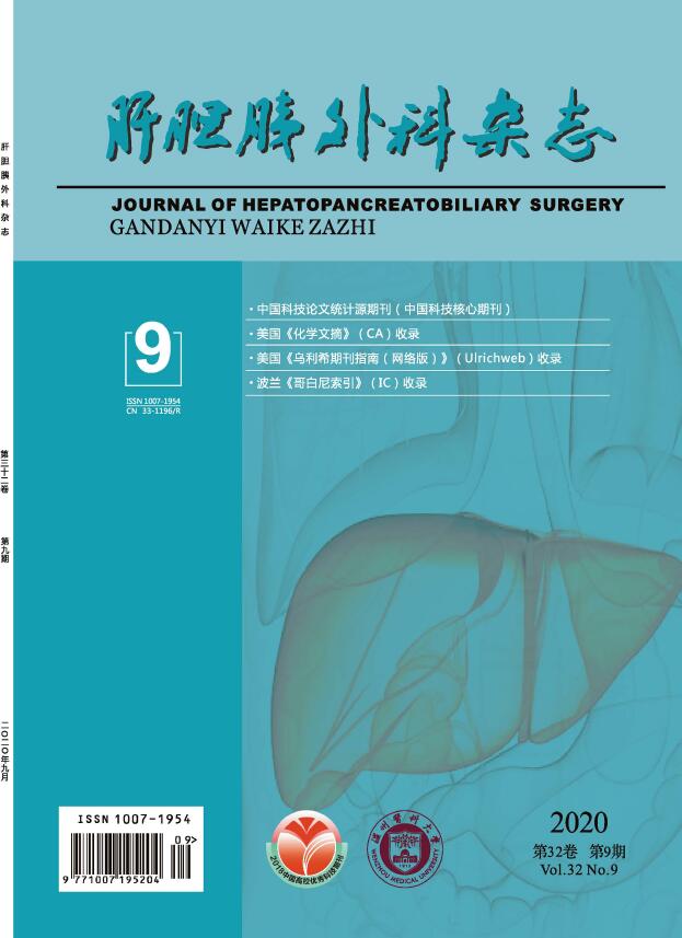 《肝胆胰外科杂志》征订启事