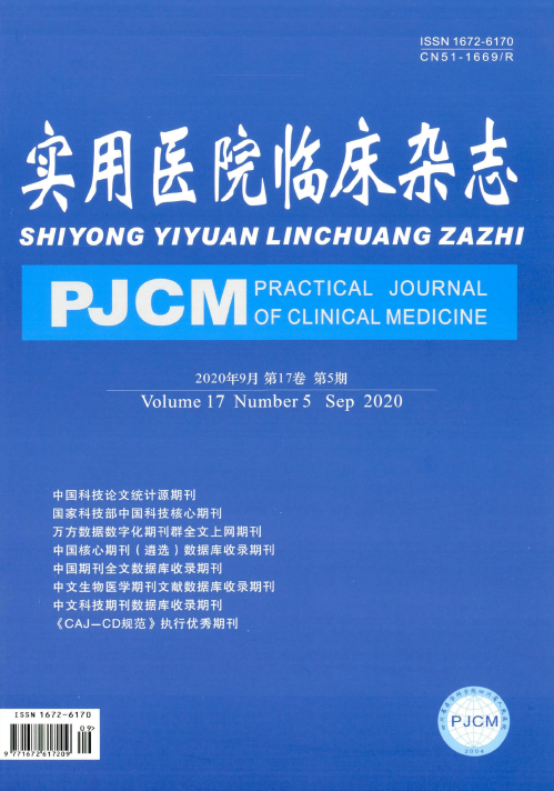 《实用医院临床杂志》订阅详情