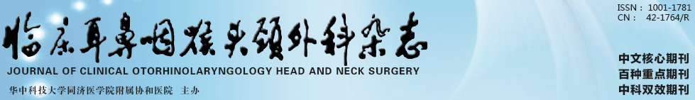 《临床耳鼻咽喉头颈外科杂志》主要栏目_发表哪些内容 _杂志社官网
