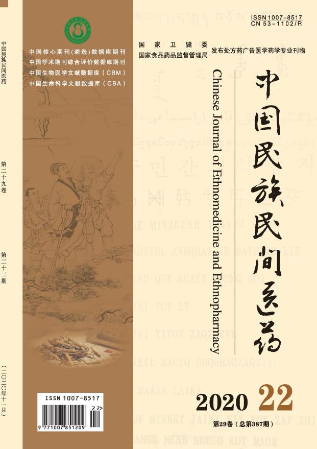 《中国民族民间医药》基础信息_快速了解本刊