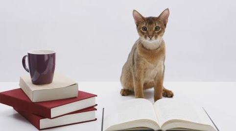 影响因子越高期刊越好吗？