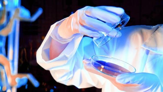 SCI造假学位会取消吗？